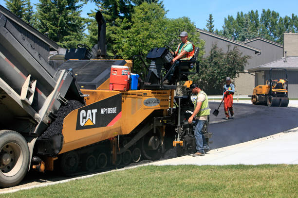Best Driveway Pavers Near Me  in Oak Ridge, FL